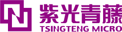 Tsingteng Micro/紫光青藤