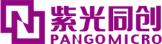Pango Micro/紫光同创